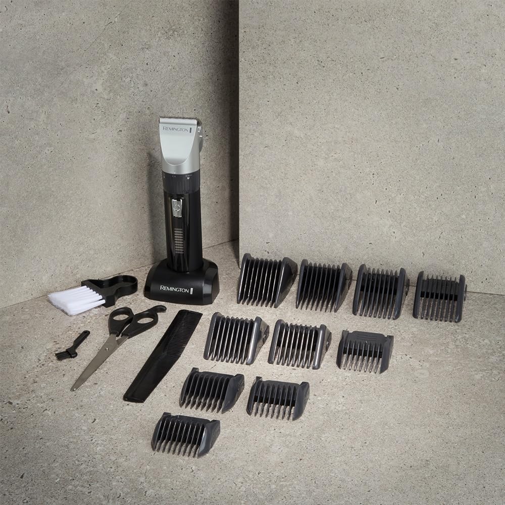 Remington Genius View 4