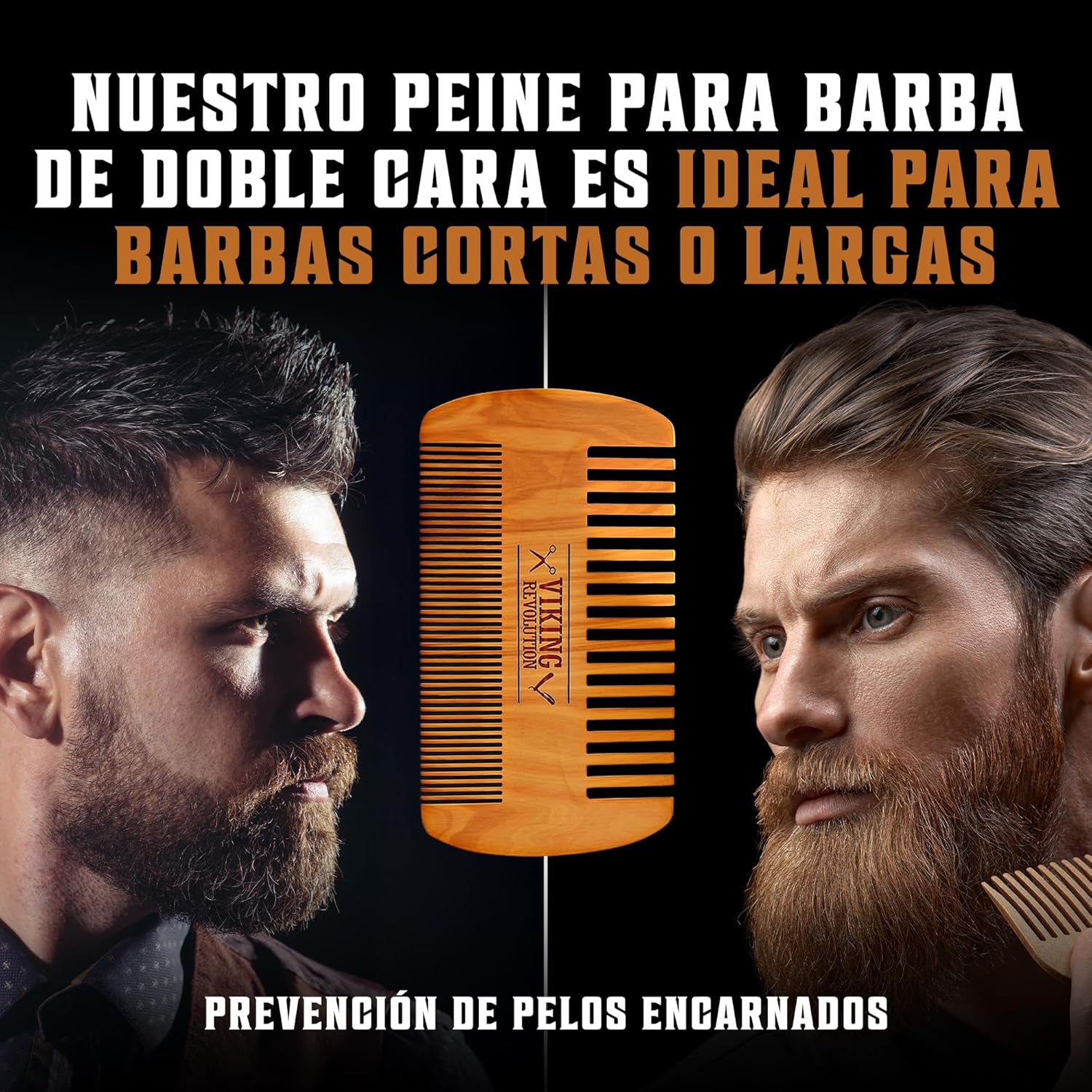 Viking revolution View 2